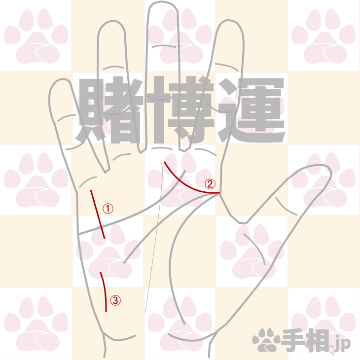 オートレースで勝つために書き足しておくと良い手相 手相の書き足し.com
