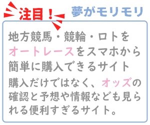 オッズパークオートレースについて